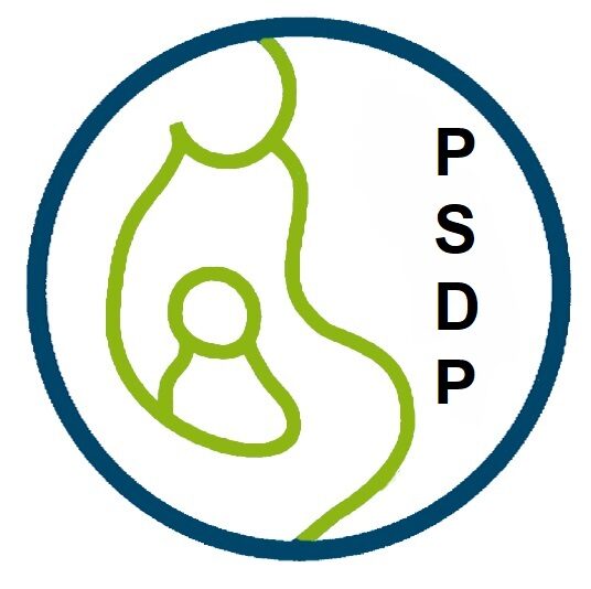 Pediatric Scientist Development Program